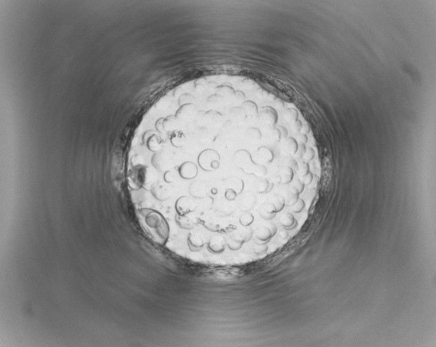 X0000115020474200912071031