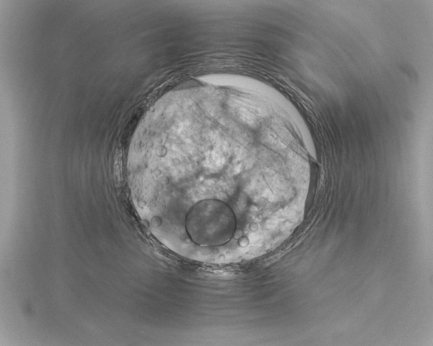 X0000115020475200912071031