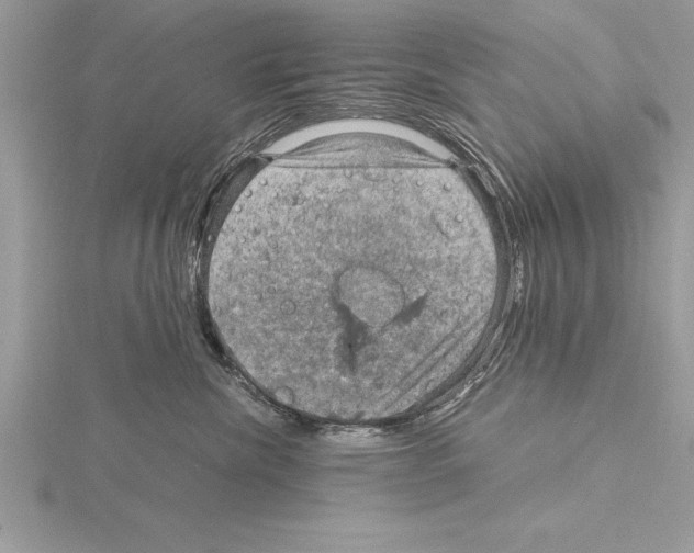 X0000115020476200912071031