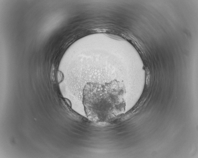 X0000115020477200912071031