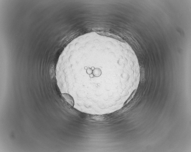 X0000115020478200912071031