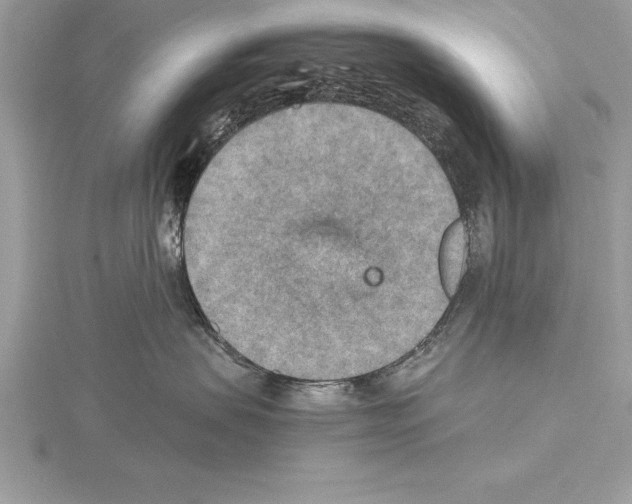 X0000115020479200912071031