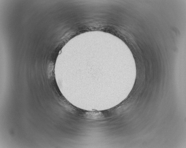 X0000115020480200912071031