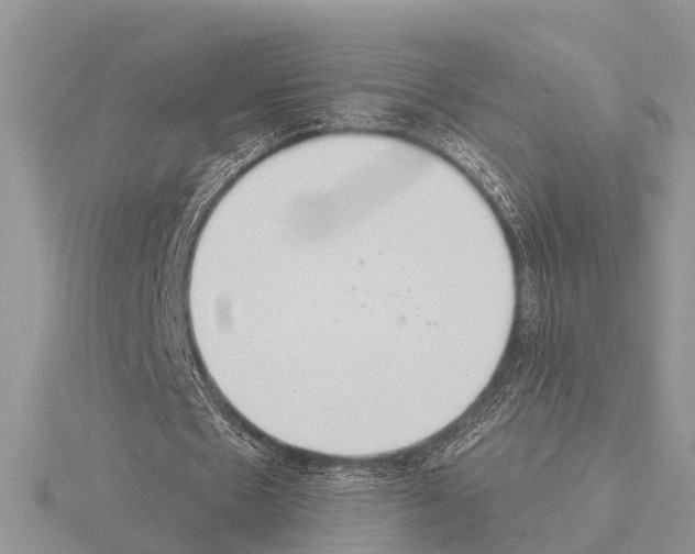 X0000115020481200912071030