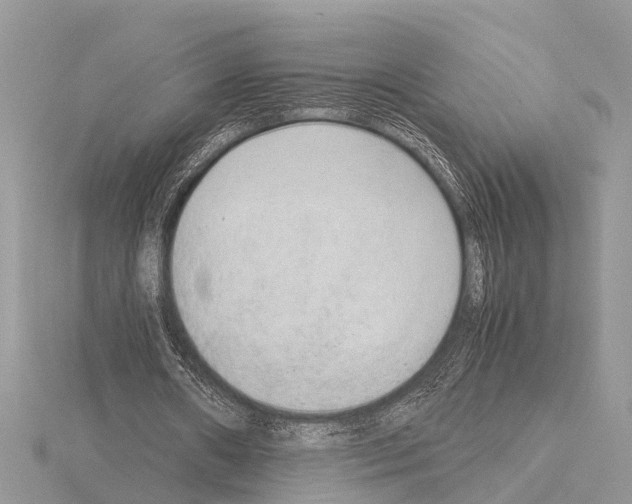 X0000115020482200912071030