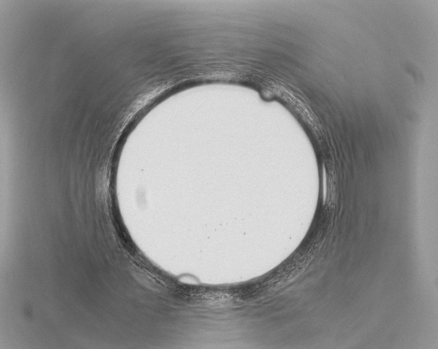 X0000115020483200912071030