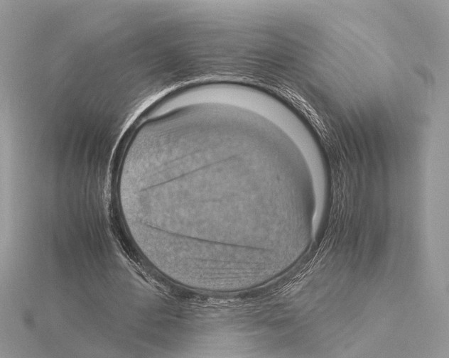 X0000115020484200912071030