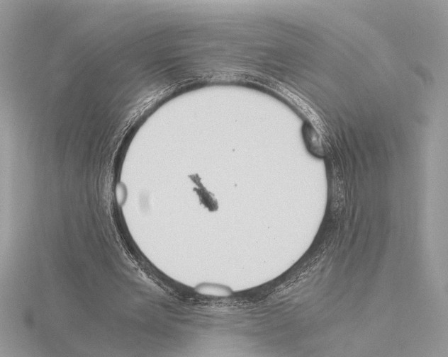 X0000115020485200912071030