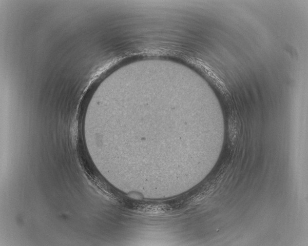 X0000115020488200912071030