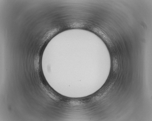 X0000115020490200912071030