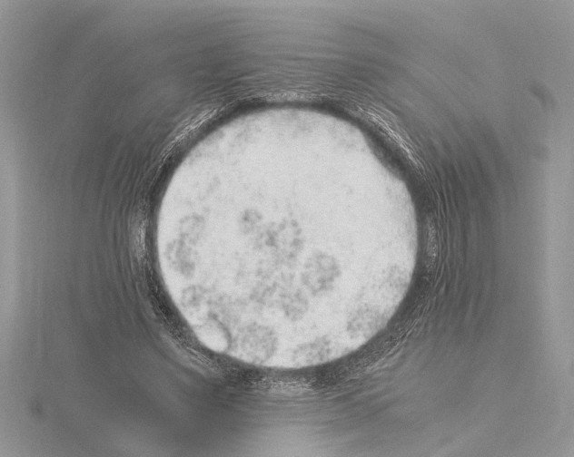 X0000115020491200912071030