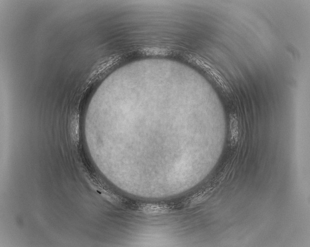 X0000115020494200912071030