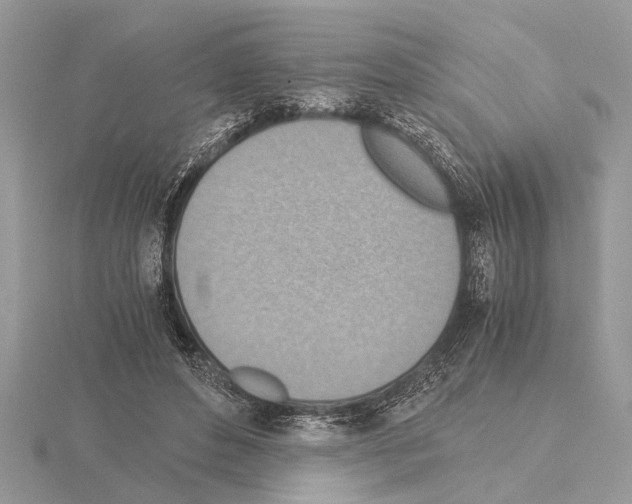 X0000115020496200912071030