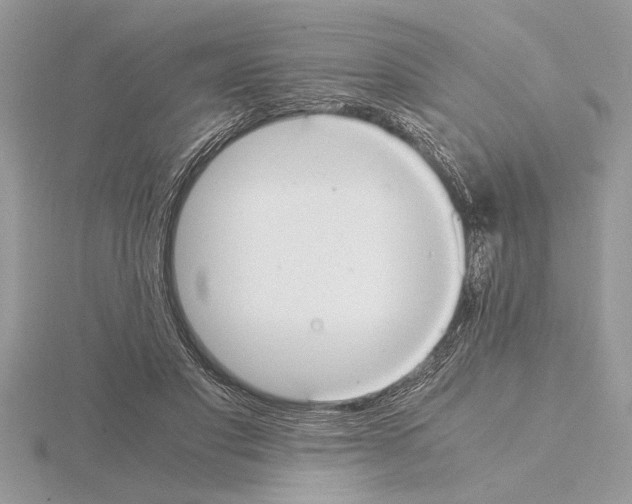 X0000115020501200912071030