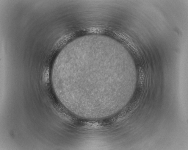 X0000115020502200912071030