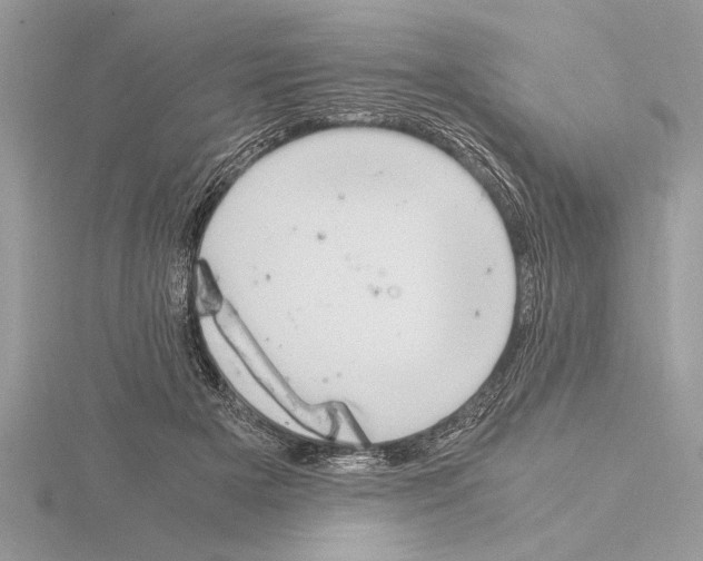 X0000115020505200912071030