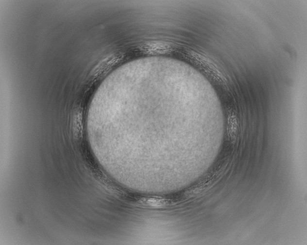 X0000115020506200912071030