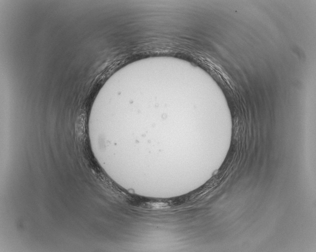 X0000115020509200912071030