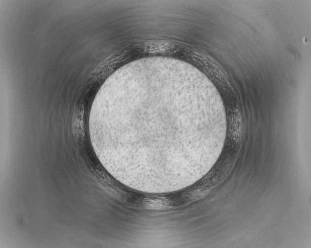 X0000115020510200912071030