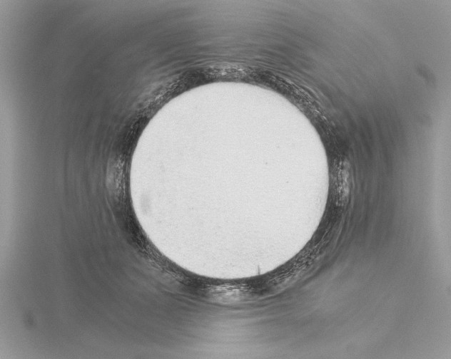 X0000115020511200912071030