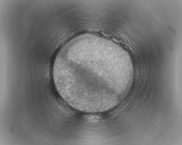 X0000115020512200912071030