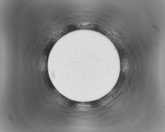 X0000115020515200912071030