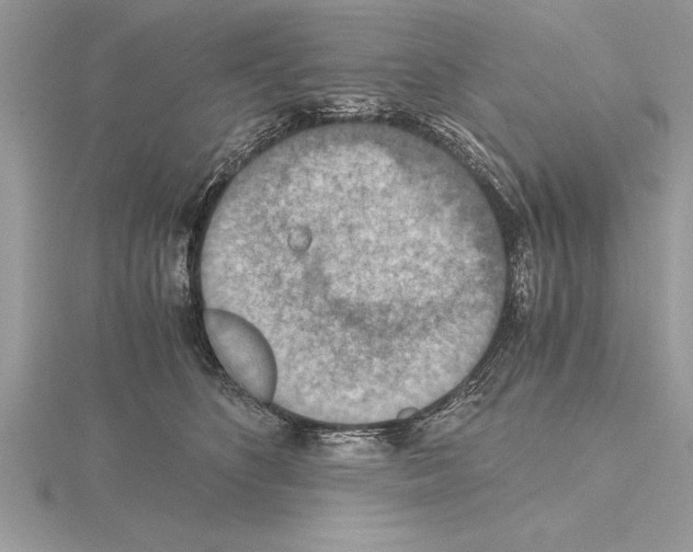 X0000115020516200912071030