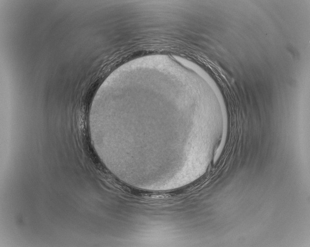 X0000115020517200912071030