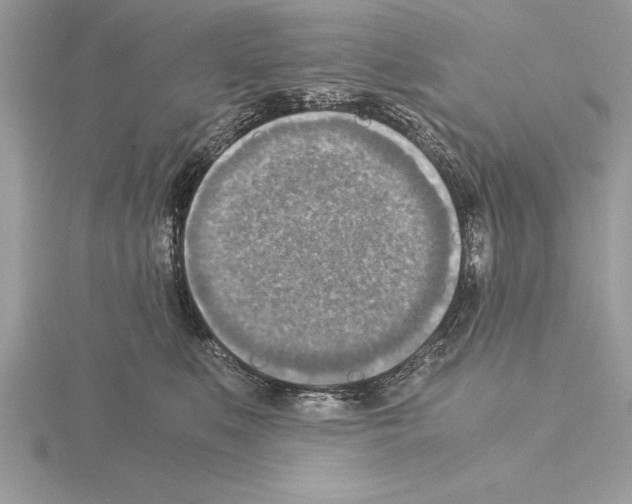 X0000115020519200912071030