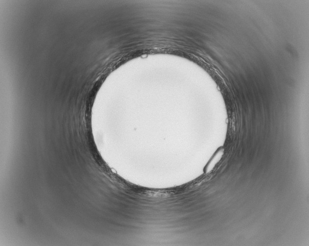 X0000115020520200912071030