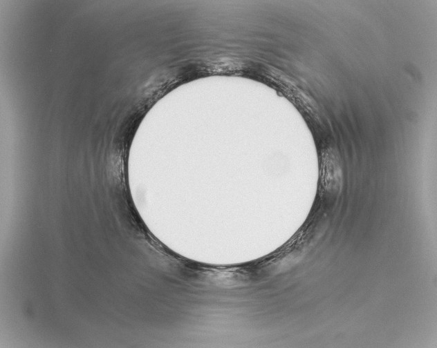 X0000115020523200912071030