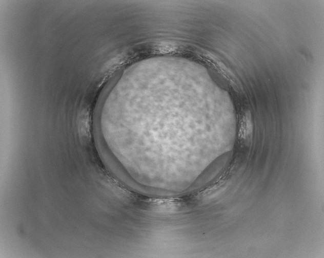 X0000115020524200912071030