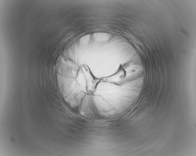 X0000115020525200912071030