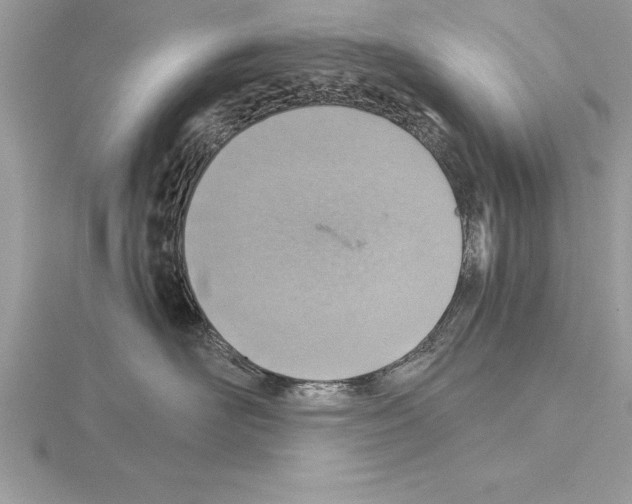 X0000115020526200912071030