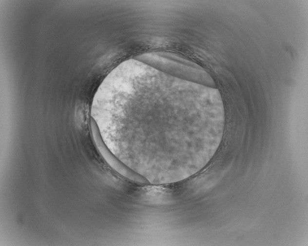 X0000115020528200912071030