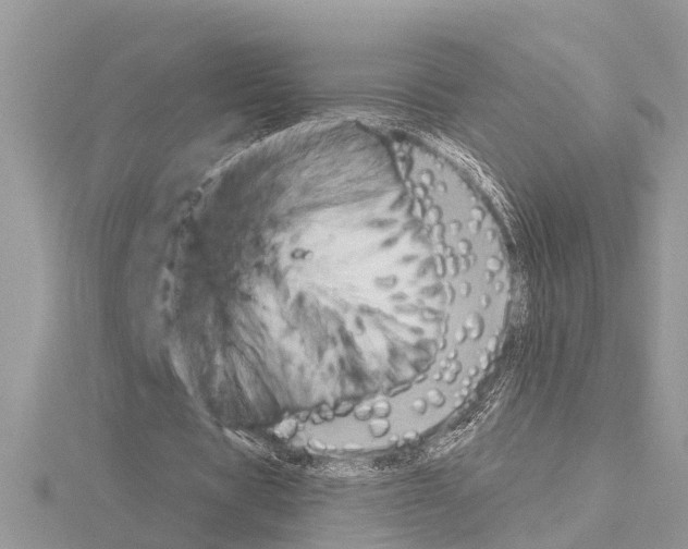 X0000115020529200912071029