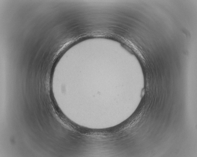 X0000115020530200912071029