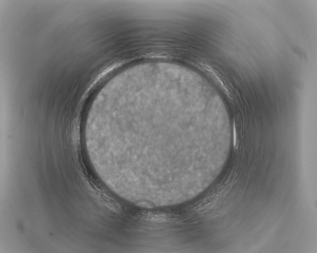 X0000115020531200912071029