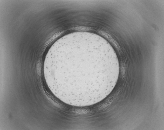 X0000115020533200912071029