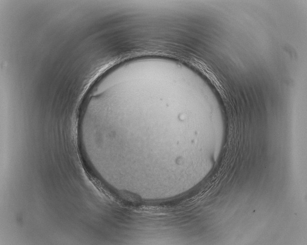 X0000115020534200912071029