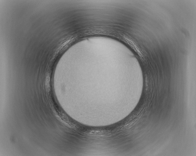 X0000115020538200912071029