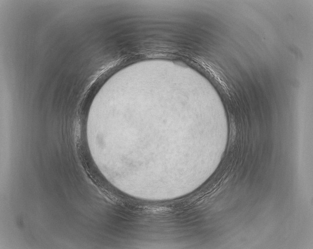 X0000115020539200912071029