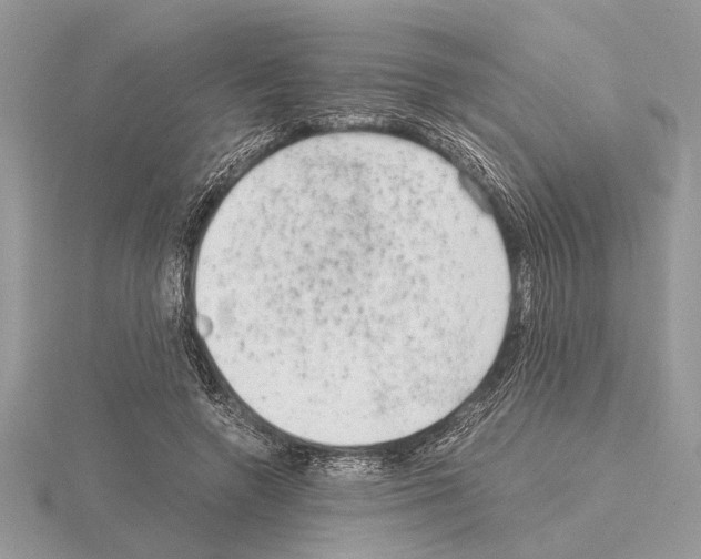 X0000115020546200912071029