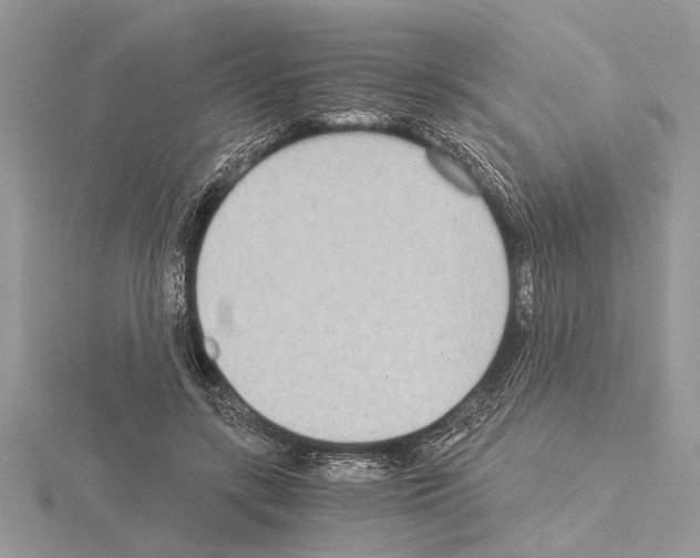 X0000115020547200912071029