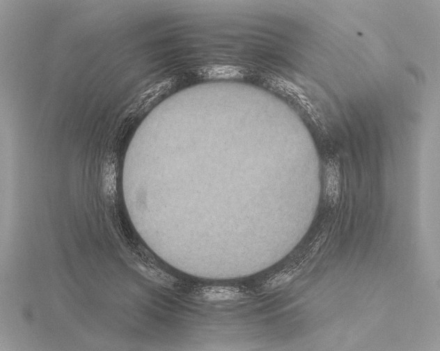 X0000115020549200912071029