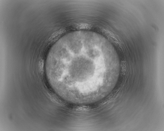 X0000115020550200912071029