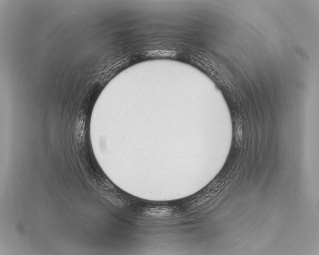 X0000115020551200912071029