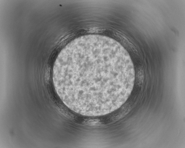 X0000115020554200912071030