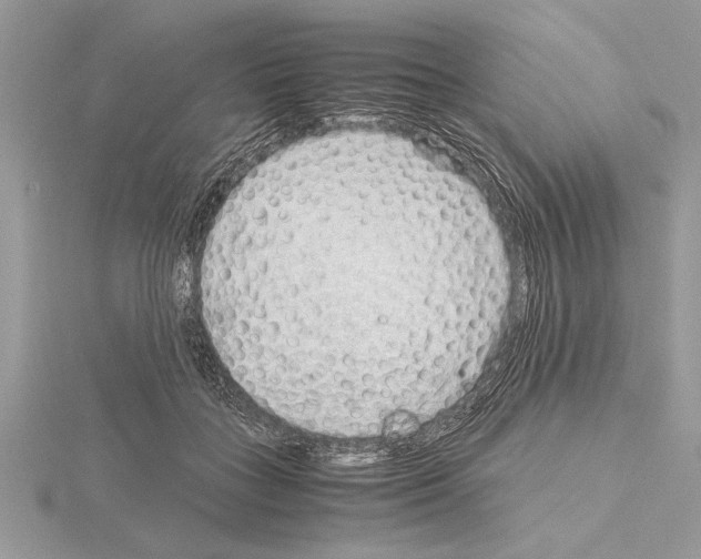 X0000115020555200912071030