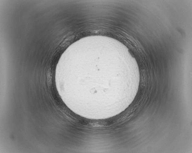 X0000115020558200912071030